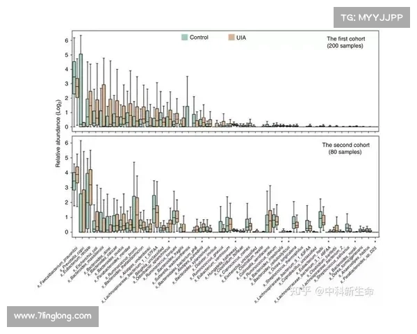 全面深入探讨欧协联决赛规则及其完整流程与关键机制细节深度解析